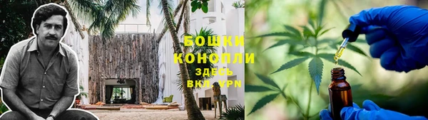 PSILOCYBIN Белокуриха