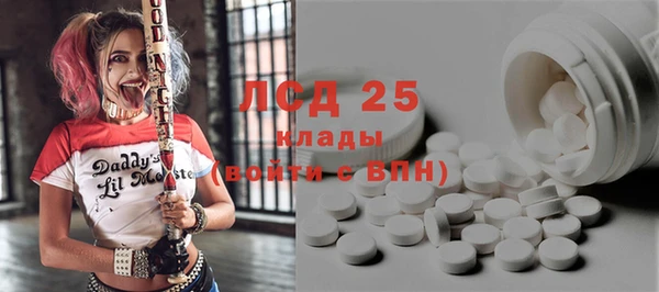 PSILOCYBIN Белокуриха