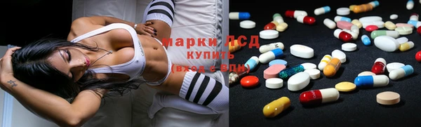 PSILOCYBIN Белокуриха