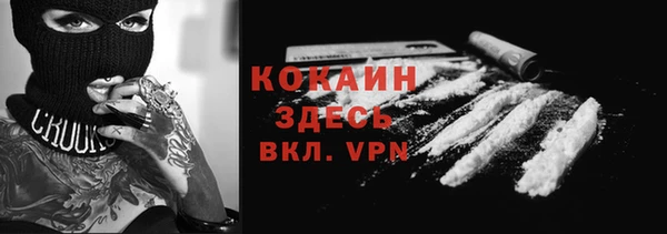 PSILOCYBIN Белокуриха