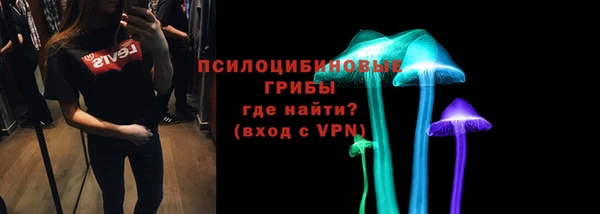 PSILOCYBIN Белокуриха