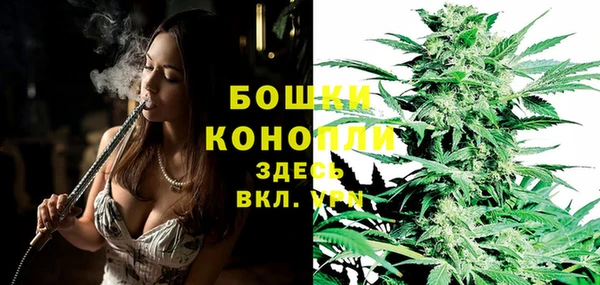 PSILOCYBIN Белокуриха