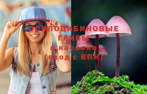 PSILOCYBIN Белокуриха