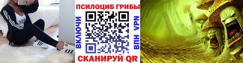 Галлюциногенные грибы MAGIC MUSHROOMS закладка Острогожск