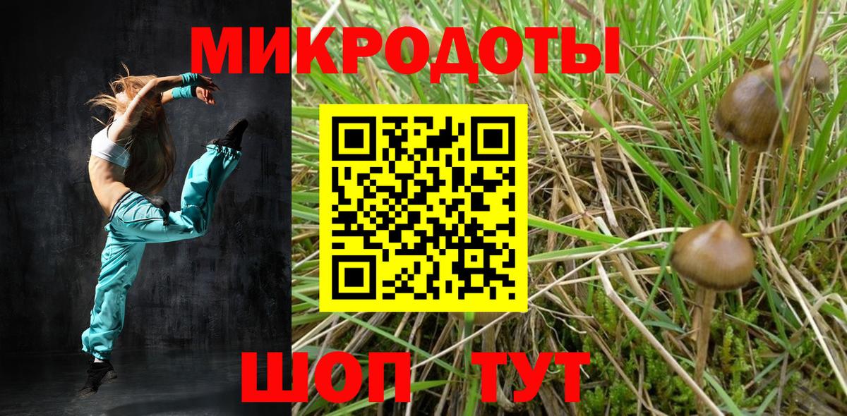 Галлюциногенные грибы MAGIC MUSHROOMS Острогожск