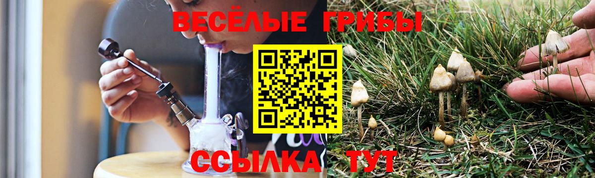 Галлюциногенные грибы мицелий  Вход с VPN  Острогожск 